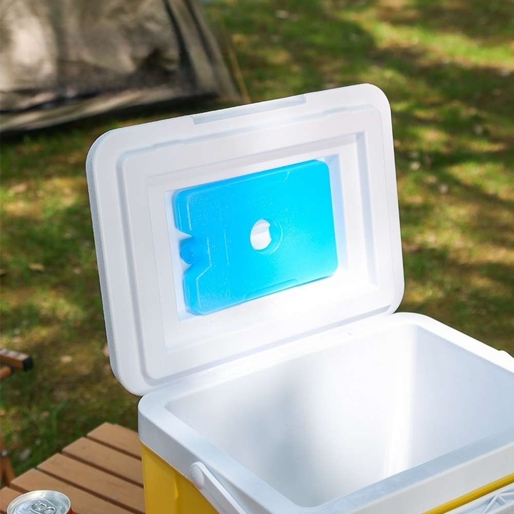 Caixa Térmica Portátil de 6L e - Food Storage In Cooler avaliação e preço