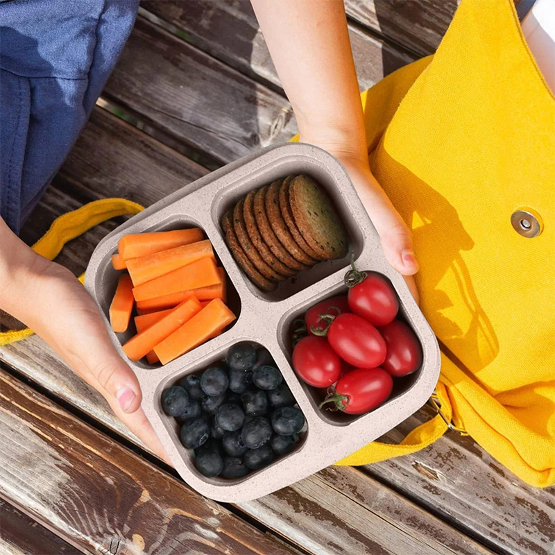 Caixa De Armazenamento De Alim - Food Storage With Compartments avaliação e preço