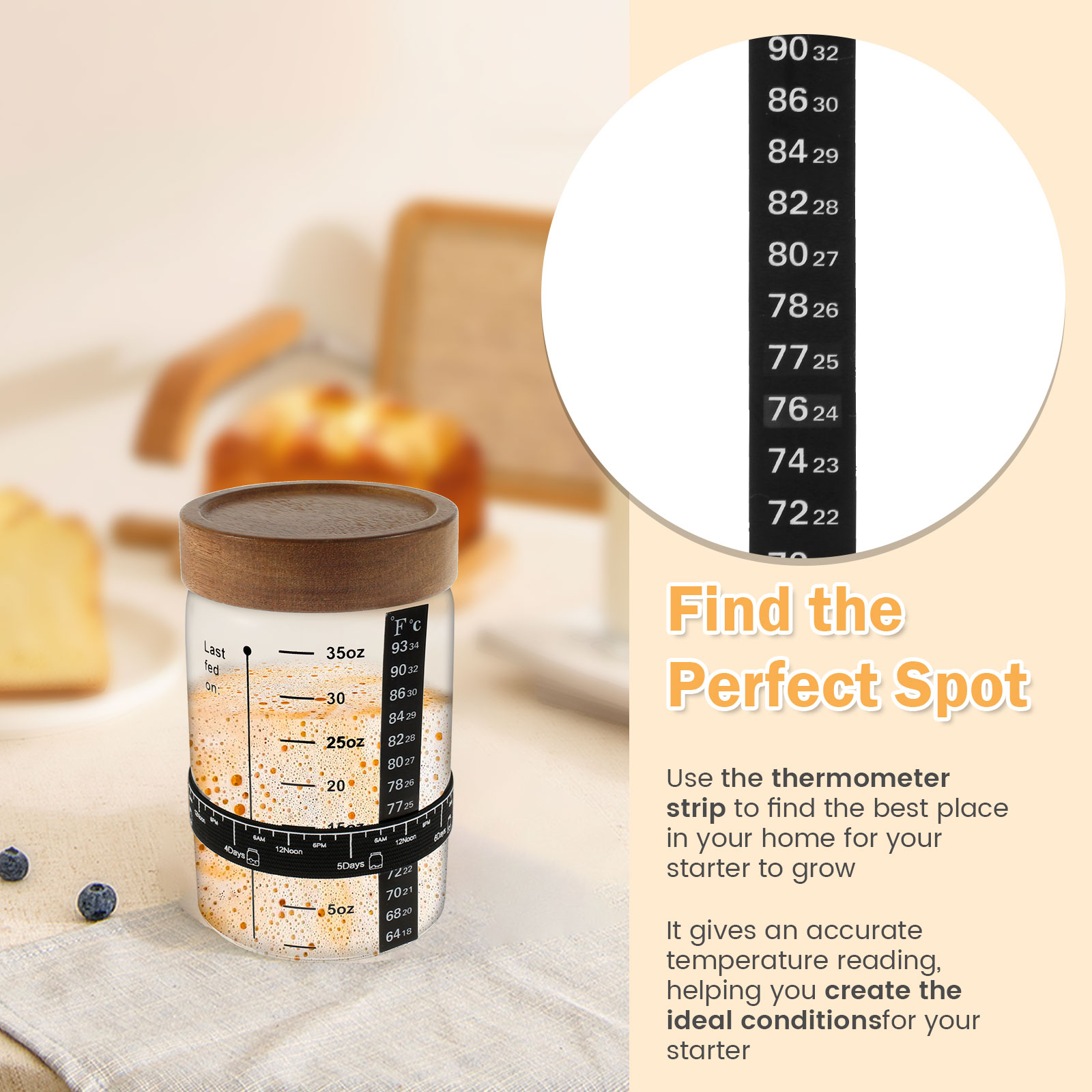 Kit de frasco inicial de massa - Food Storage Glass Jar avaliação e preço